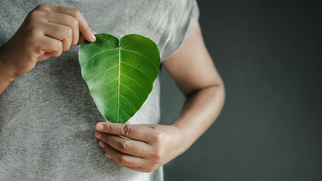 A person in a gray shirt gently holds a vibrant green leaf with both hands against a dark background.