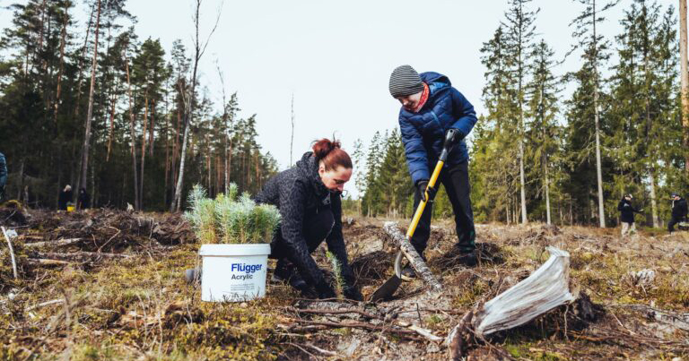 A woman and a child plant trees in a forest, surrounded by pines. The child uses a shovel, while the woman plants a sapling. A bucket of saplings is nearby.