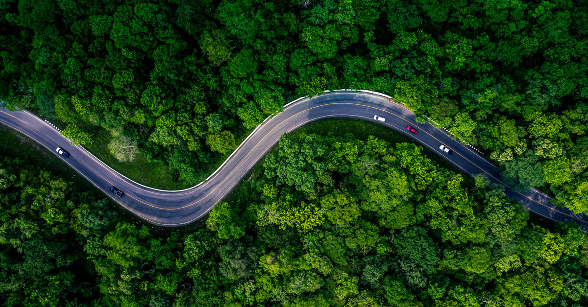 Aerial view of a winding road cutting through a dense forest of vivid green trees, evoking a sense of tranquility and natural beauty.